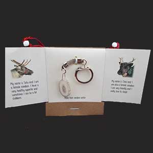 Reindeer Products